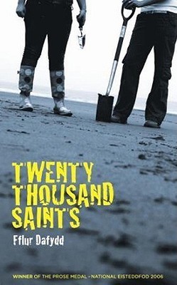 Twenty Thousand Saints book cover