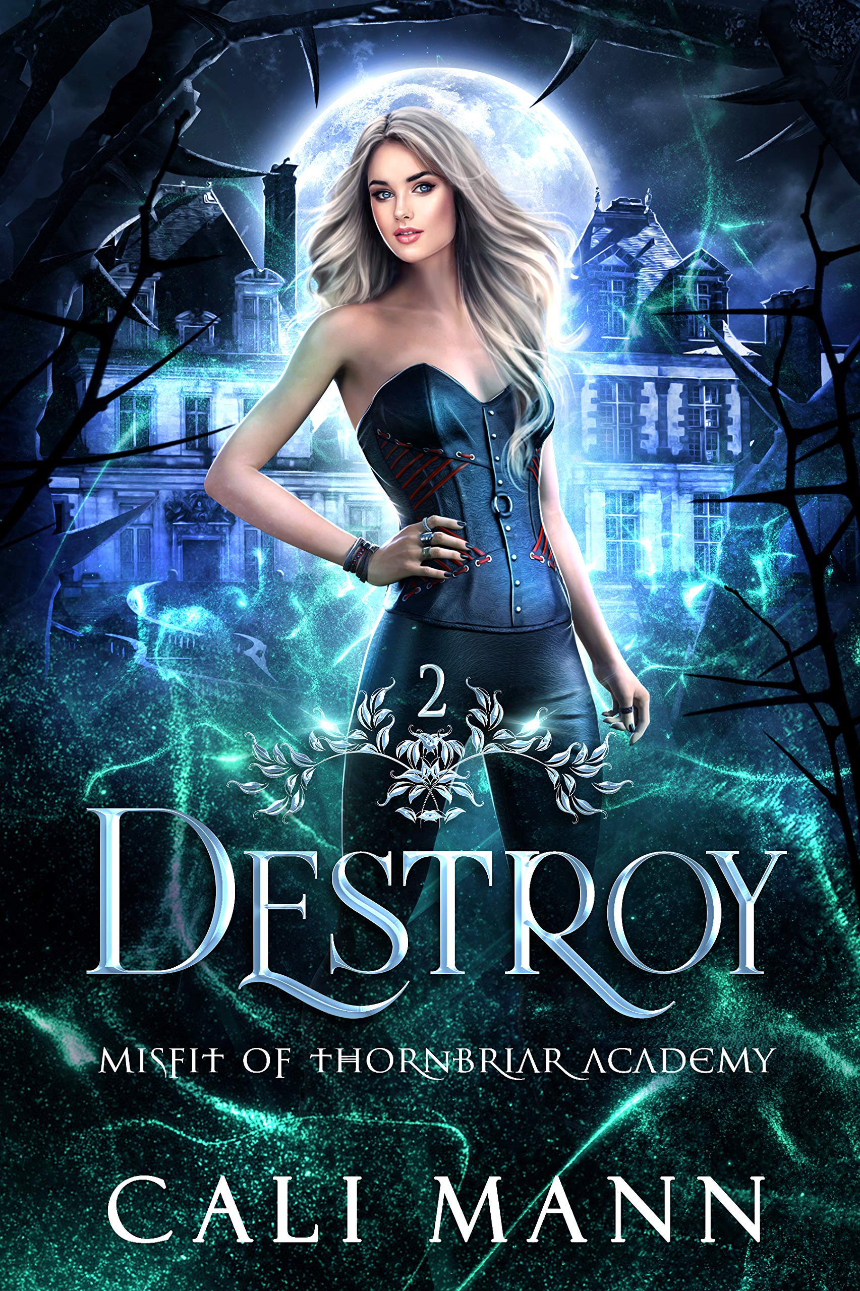 Misfit of Thornbriar Academy book cover 2