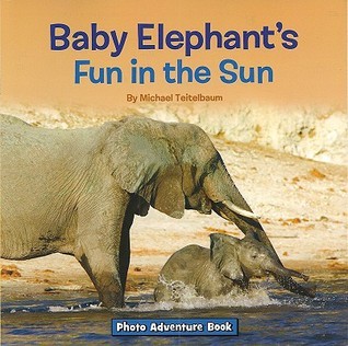 Baby Elephant's Fun in the Sun book cover
