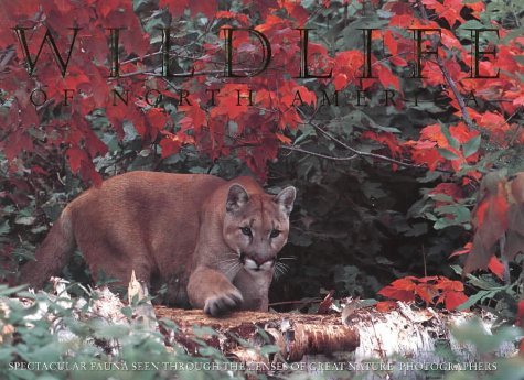 Wildlife of North America by Thomas A. Lewis book cover