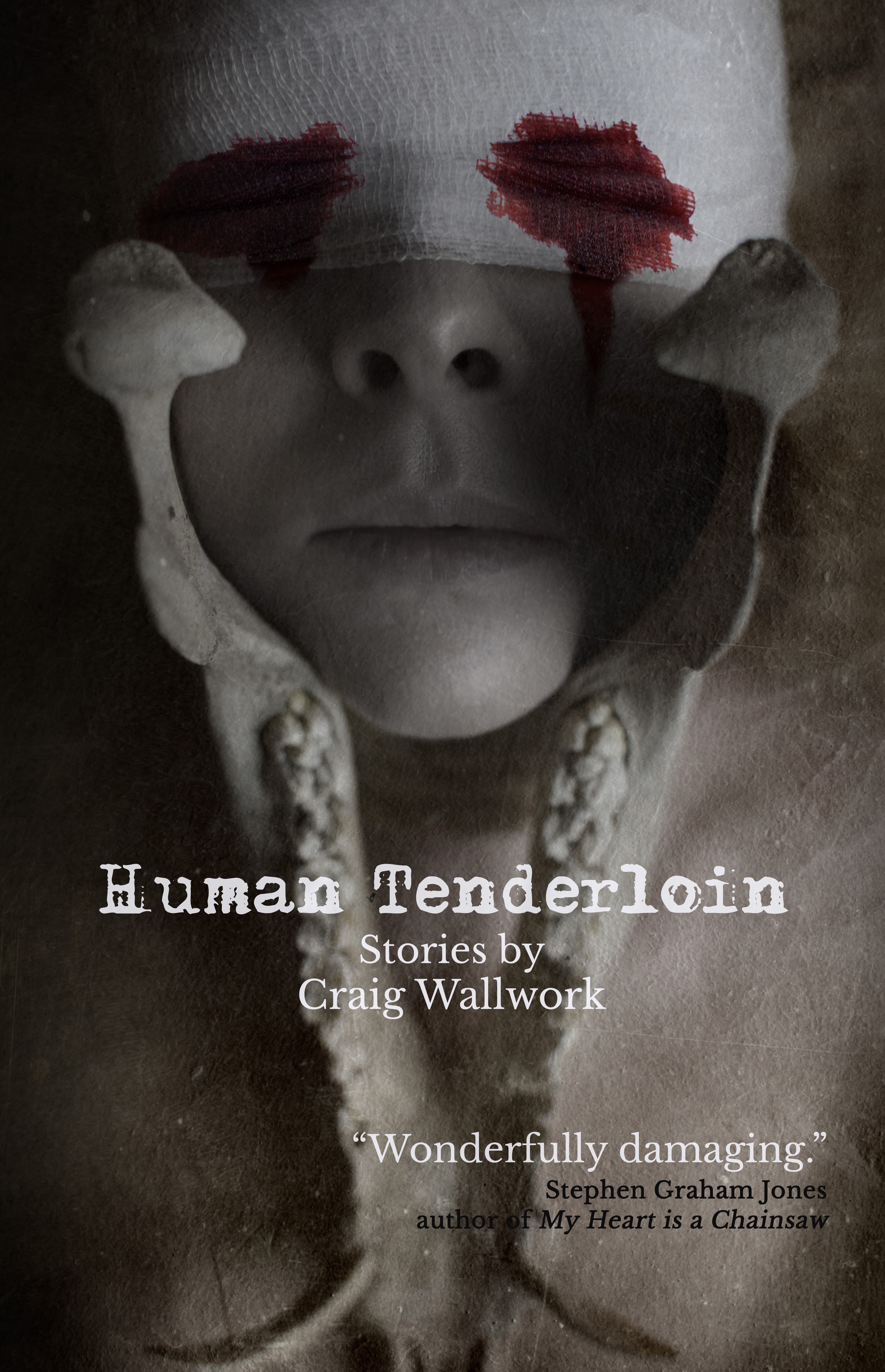 Human Tenderloin book cover