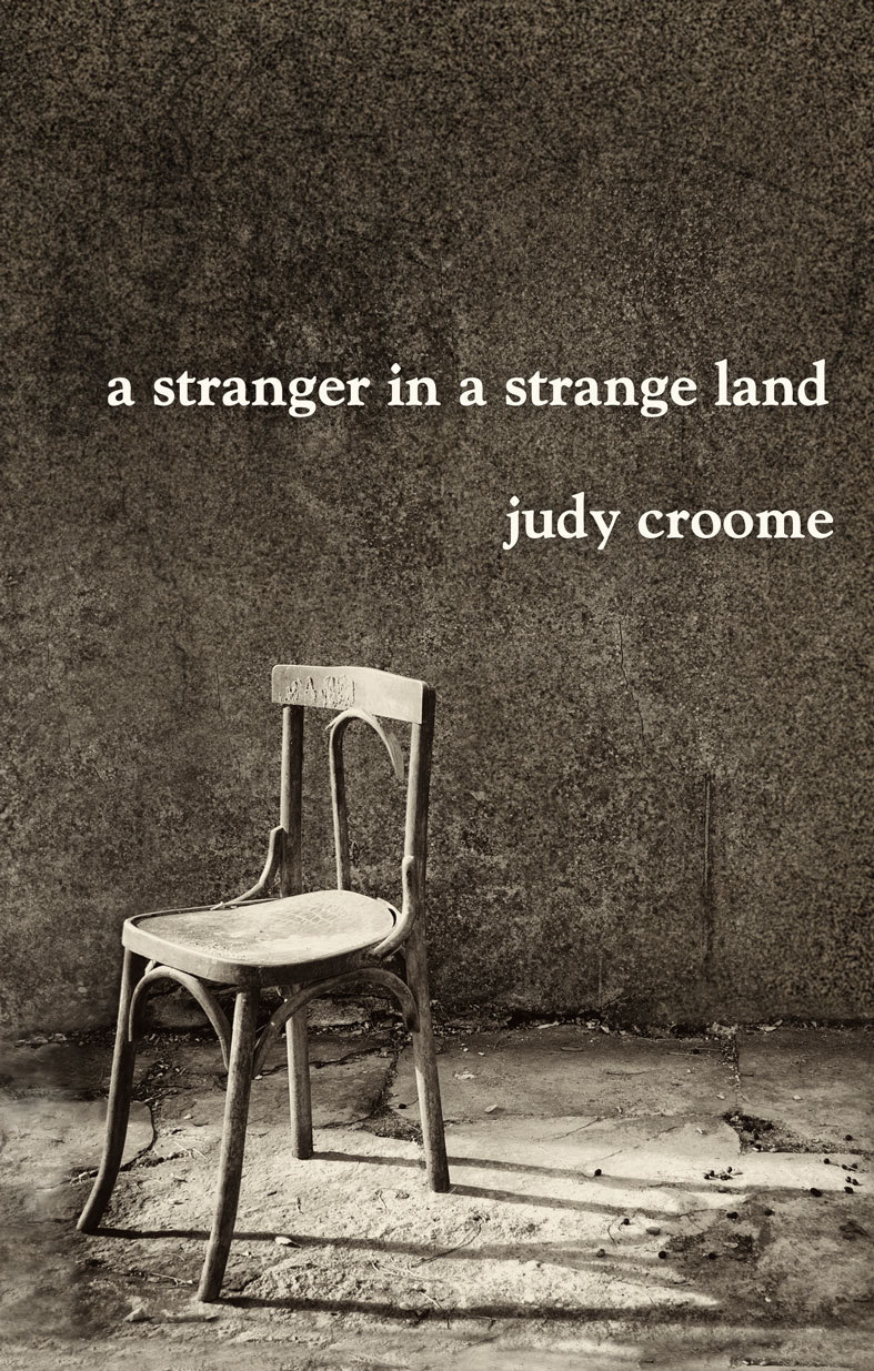 A Stranger in a Strange Land book cover