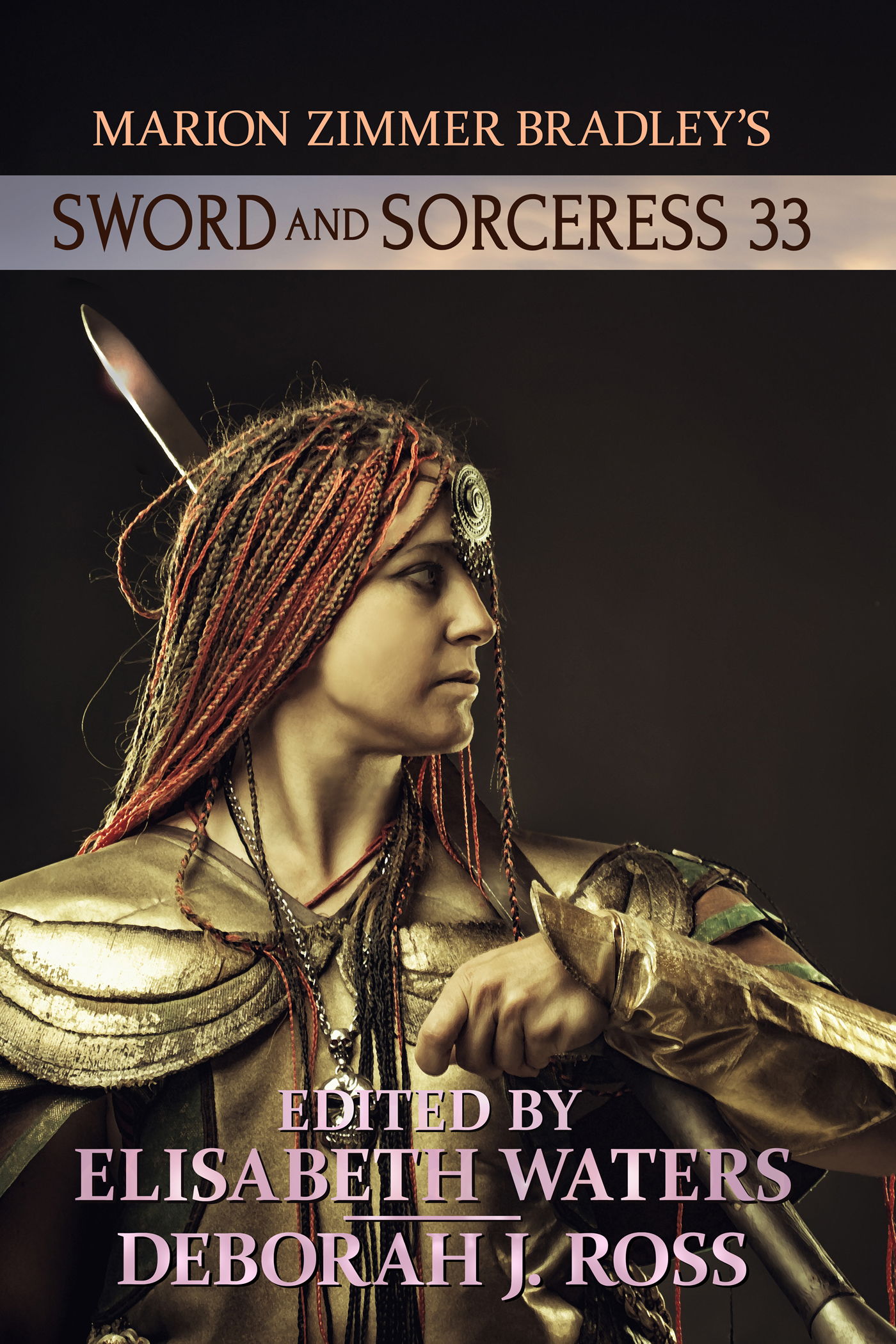 Sword and Sorceress 33 book cover