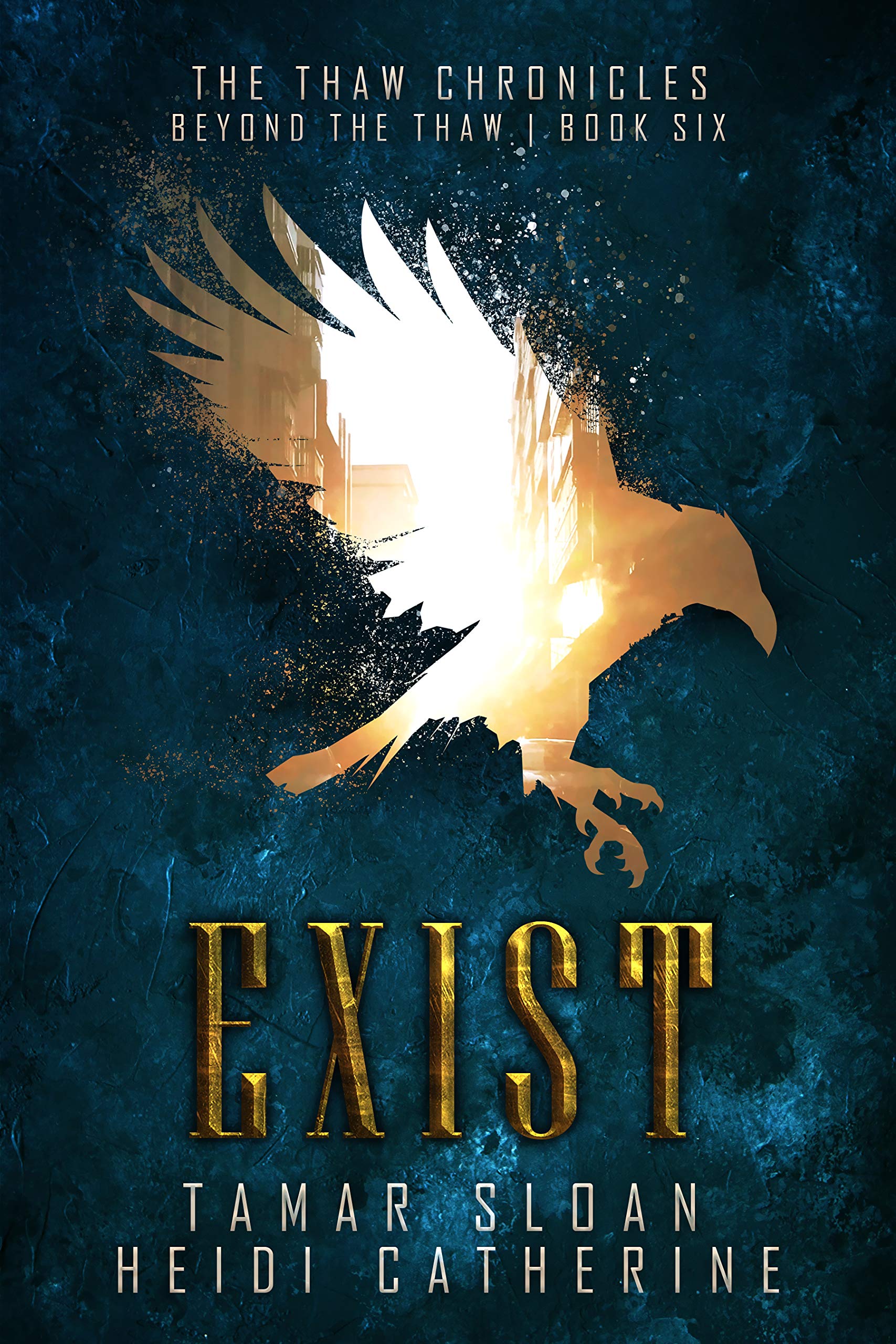 Exist book cover