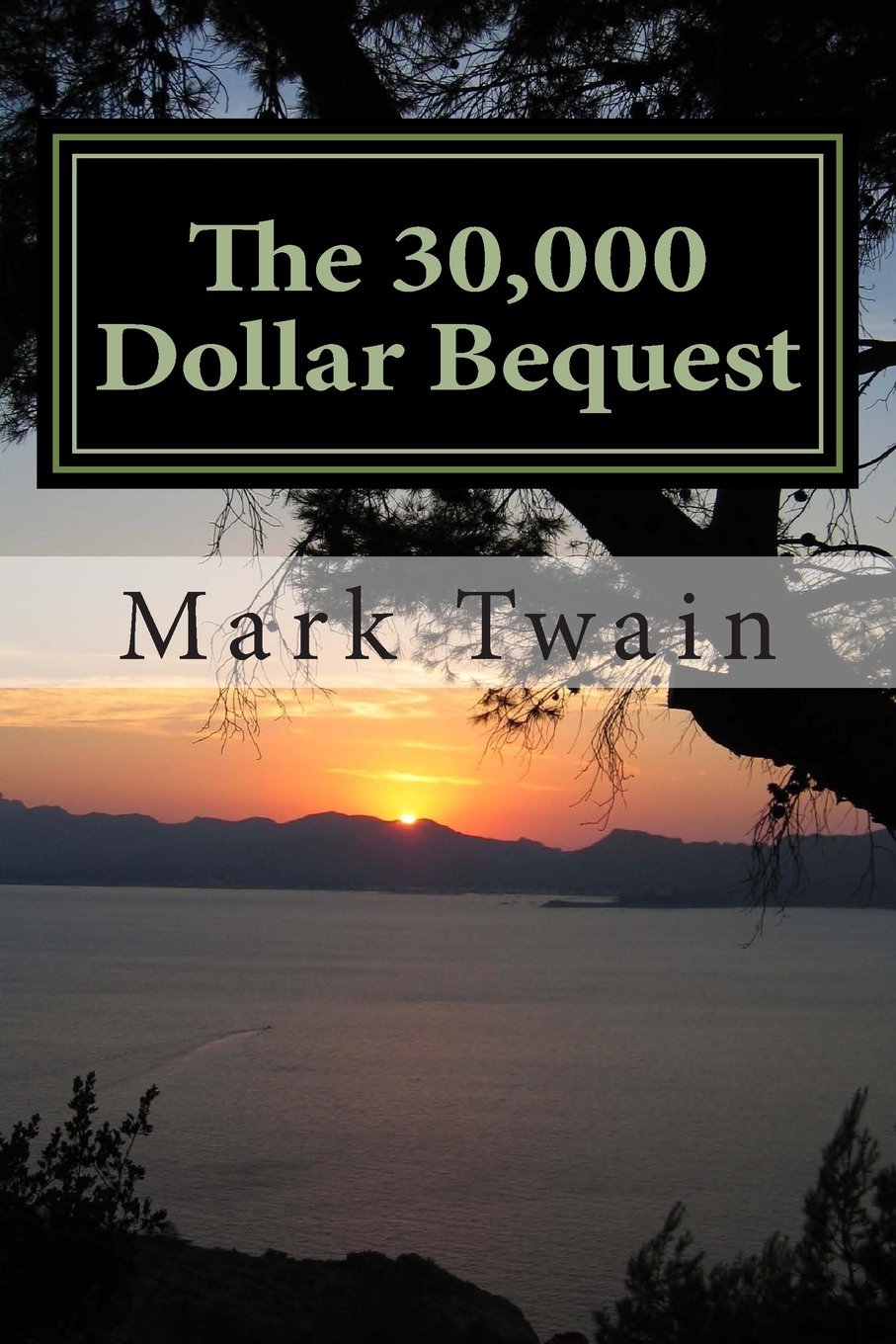 The 30,000 Dollar Bequest book cover