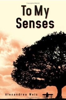 Nicci Beauvoir book cover 1