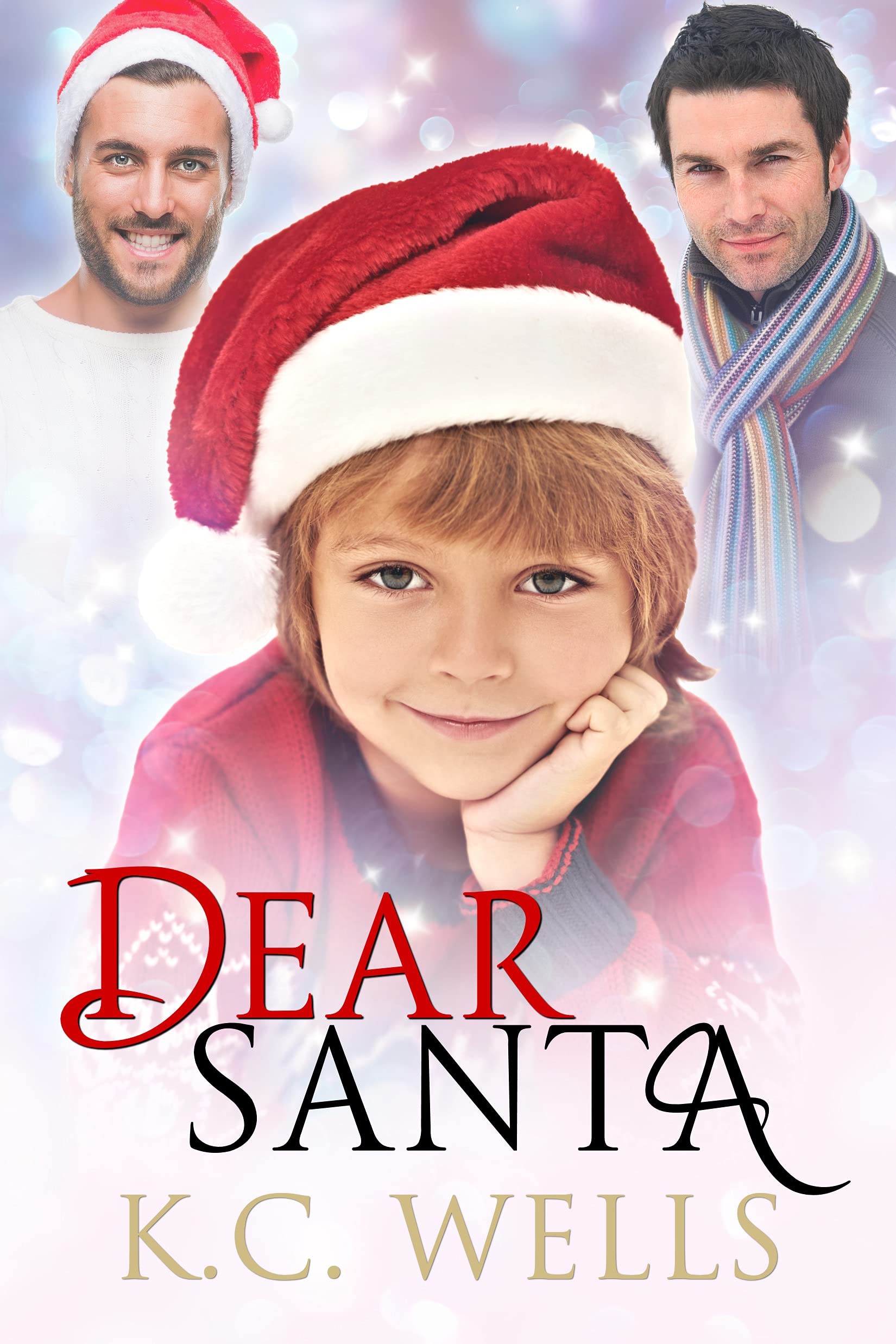 Dear Santa book cover