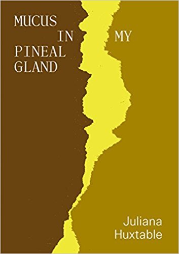 Mucus In My Pineal Gland book cover