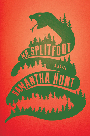 Mr. Splitfoot book cover