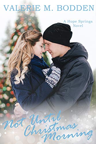 Not Until Christmas Morning book cover
