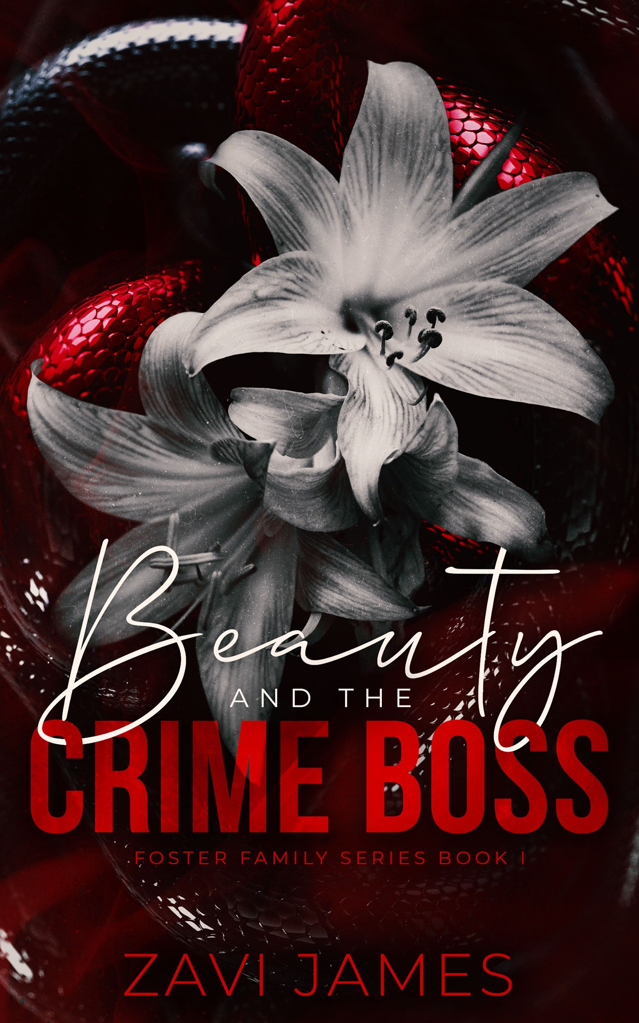 Foster Family book cover 1