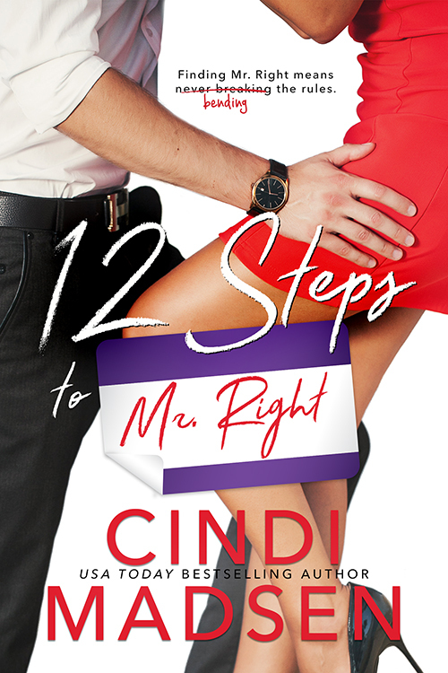 12 Steps to Mr. Right book cover