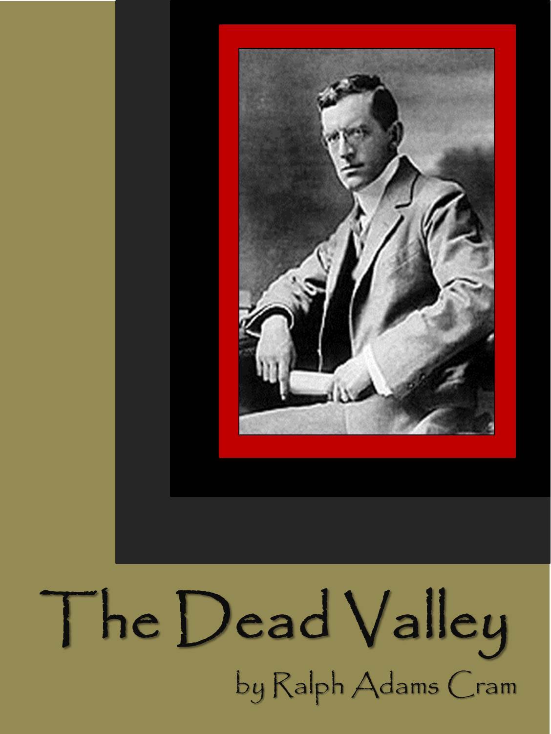 The Dead Valley book cover