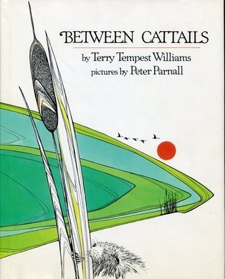 Between Cattails book cover