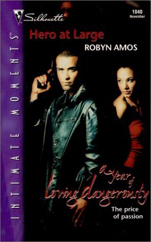 Hero at Large book cover