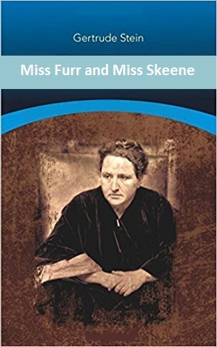 Miss Furr and Miss Skeene book cover