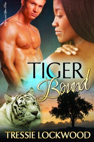 The Haven book cover 1