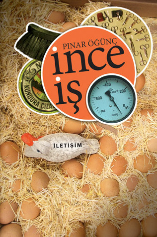 İnce İş book cover