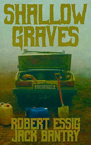 Shallow Graves book cover