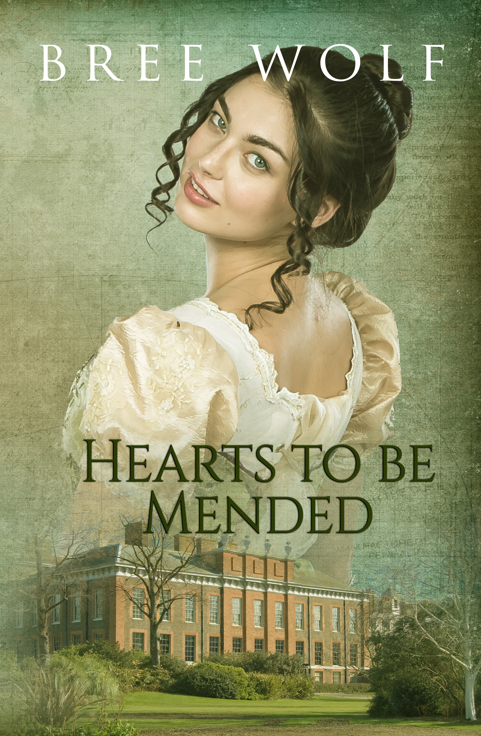 Hearts to Be Mended book cover