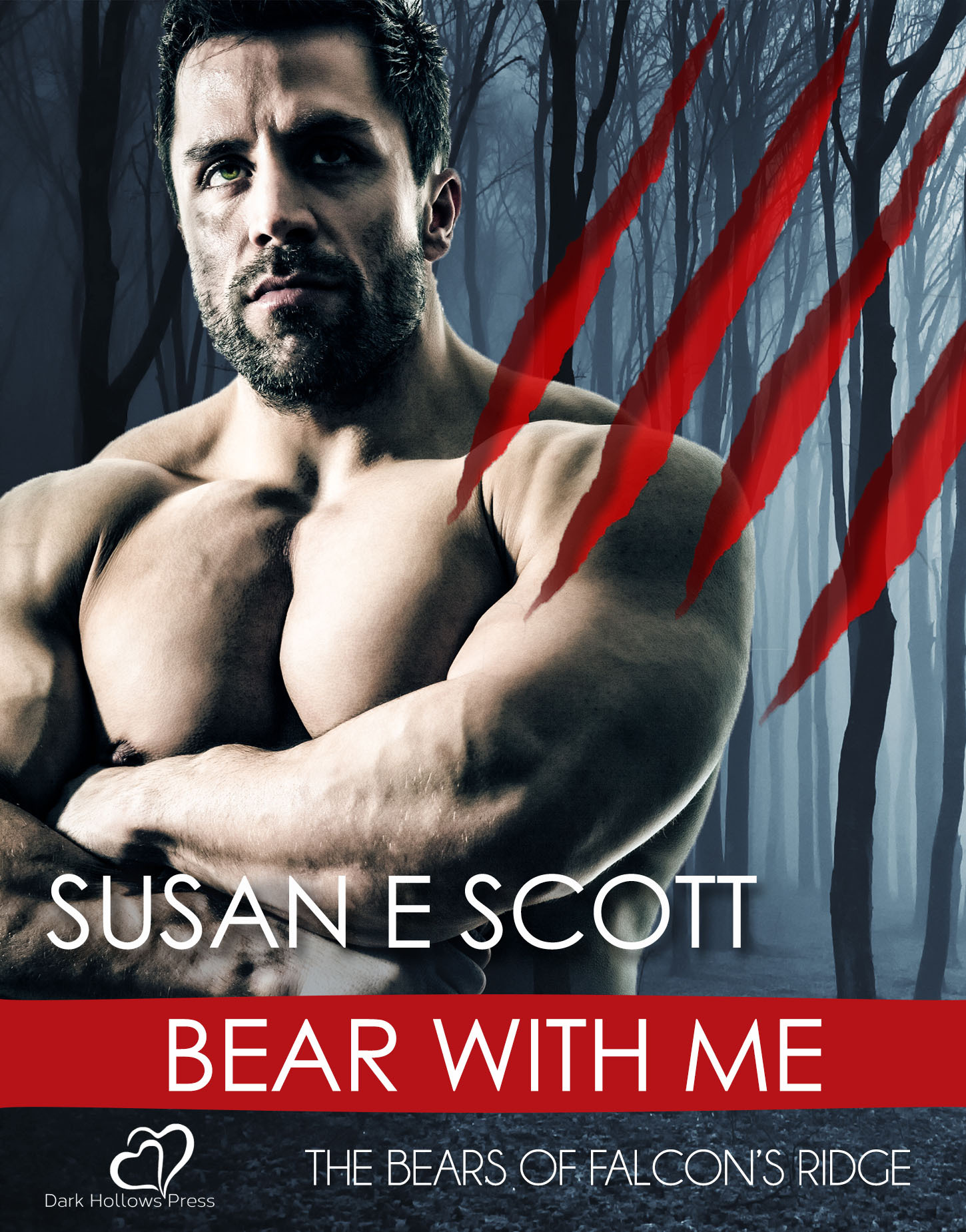 The Bears of Falcon's Ridge book cover 1
