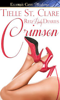 Red Panty Diaries book cover 1