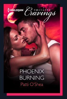 Phoenix Burning book cover