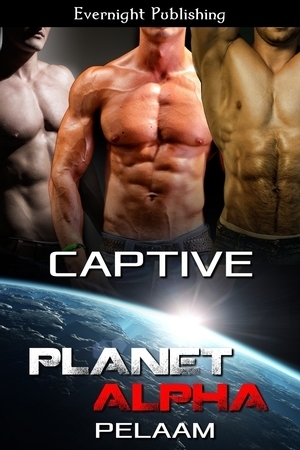 Captive book cover