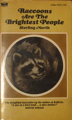Raccoons Are the Brightest People book cover