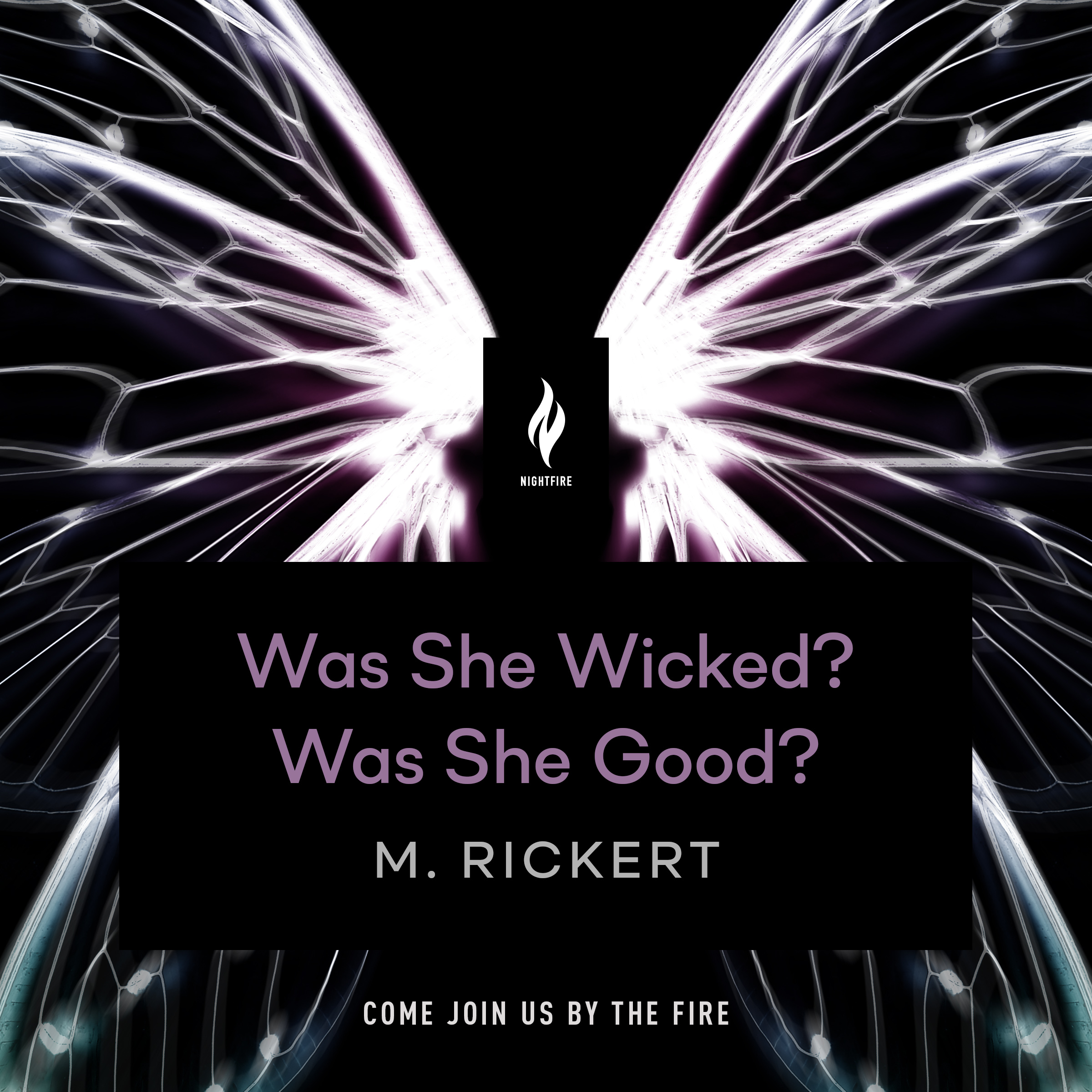 Was She Wicked? Was She Good? book cover