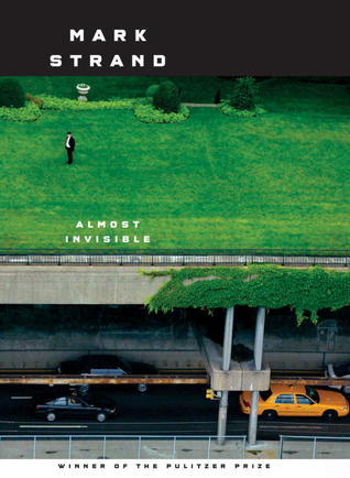Almost Invisible book cover