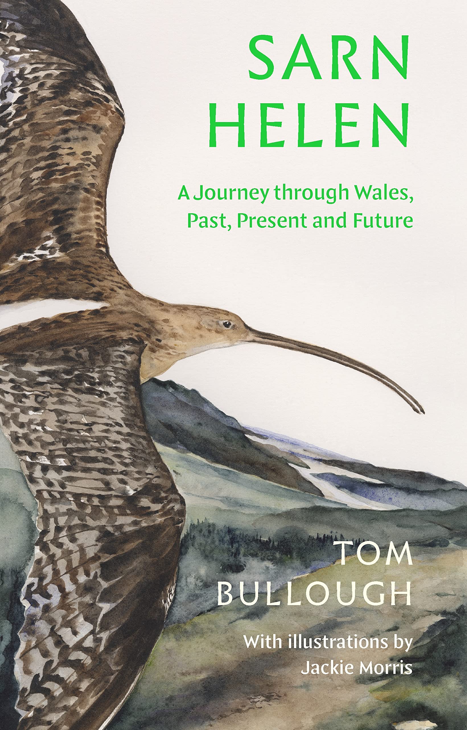 Sarn Helen book cover