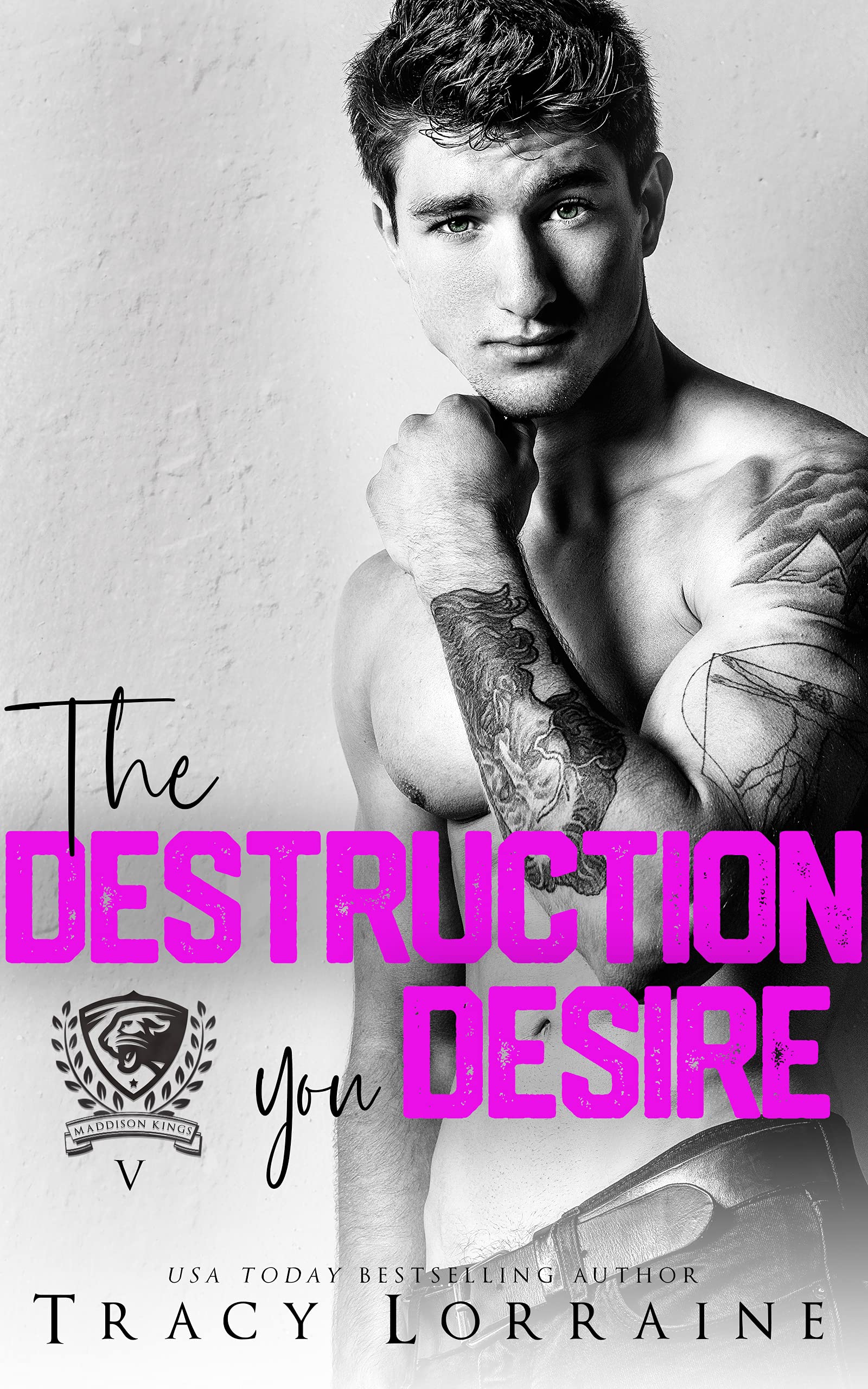 The Destruction You Desire book cover