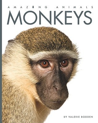Monkeys book cover