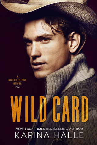 North Ridge book cover 1
