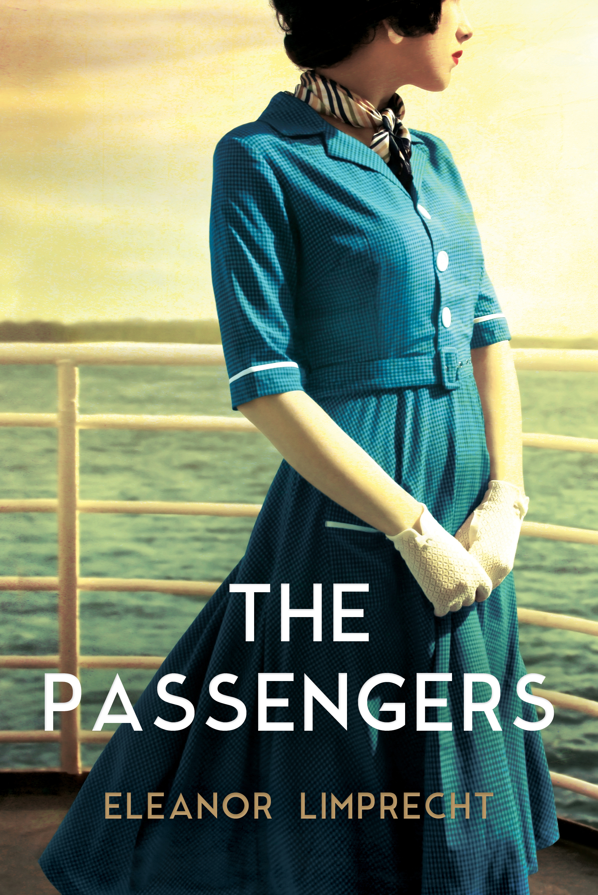 The Passengers book cover
