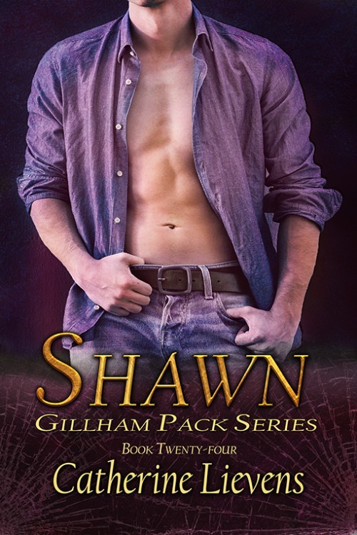 Shawn book cover