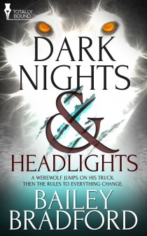 Dark Nights and Headlights book cover 1