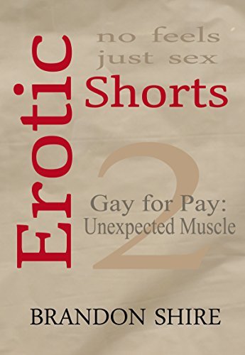 Erotic Shorts book cover 2