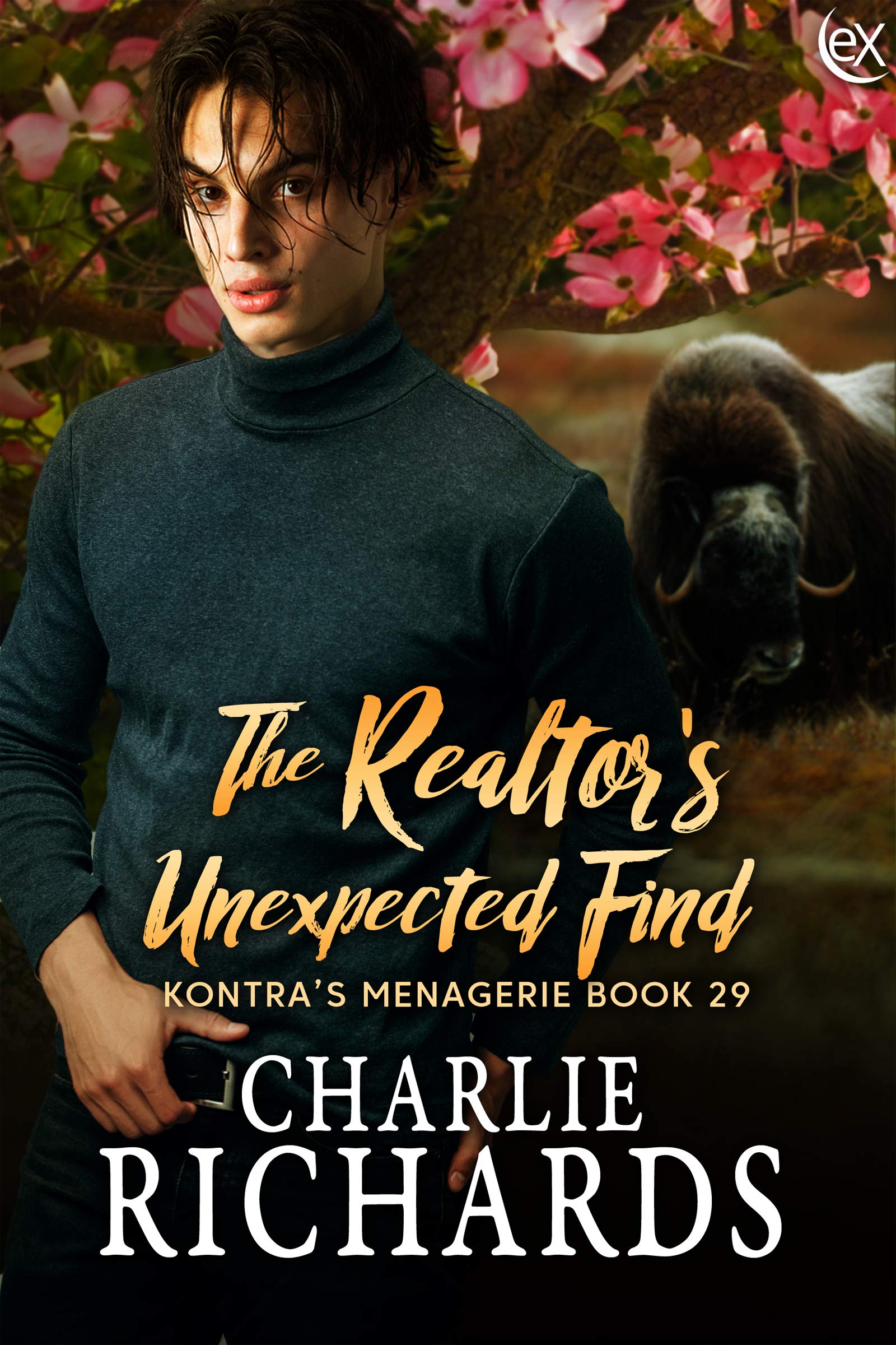 The Realtor's Unexpected Find book cover