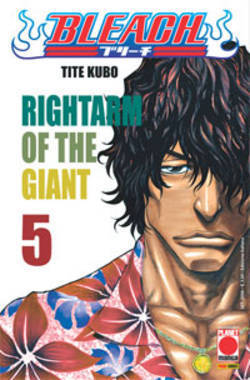 Bleach, Vol. 5 book cover
