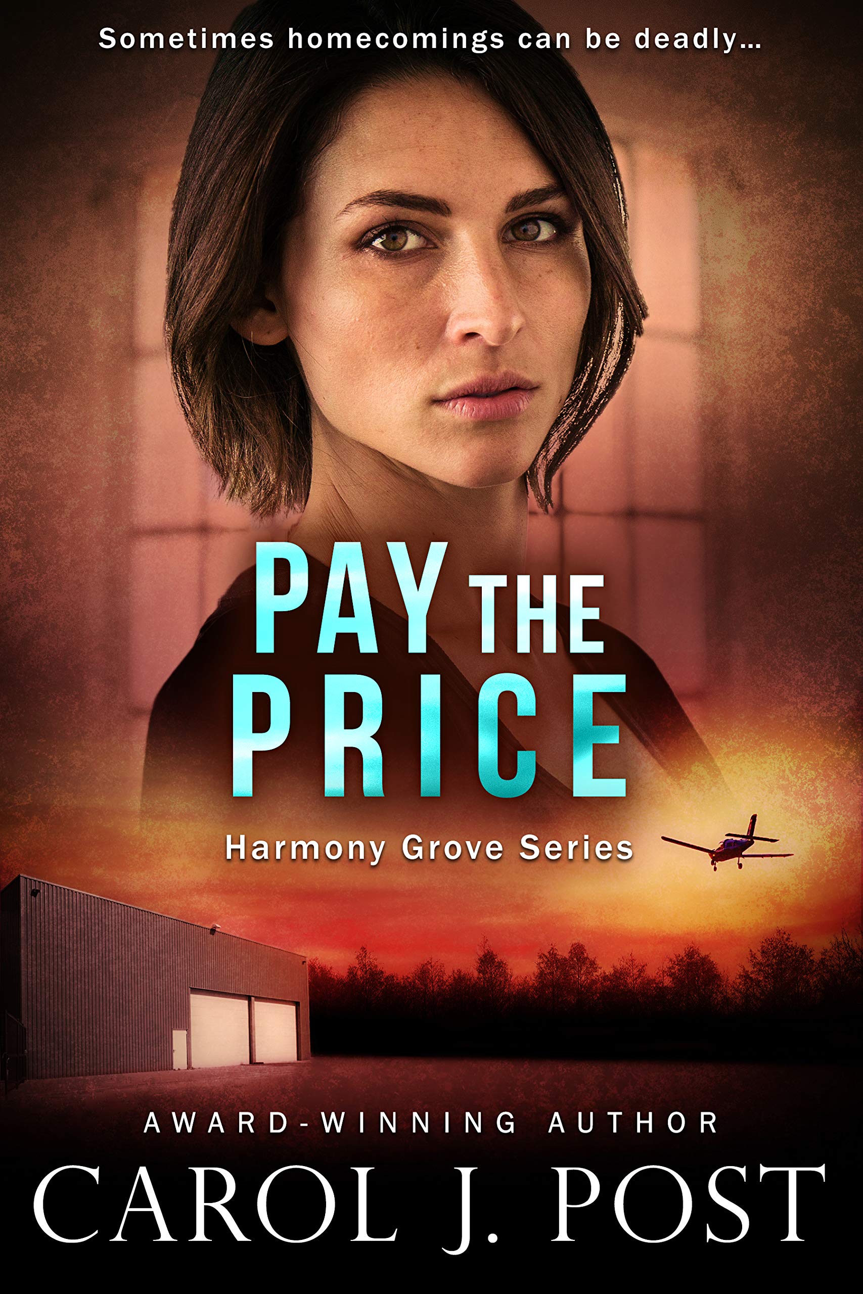 Pay the Price book cover