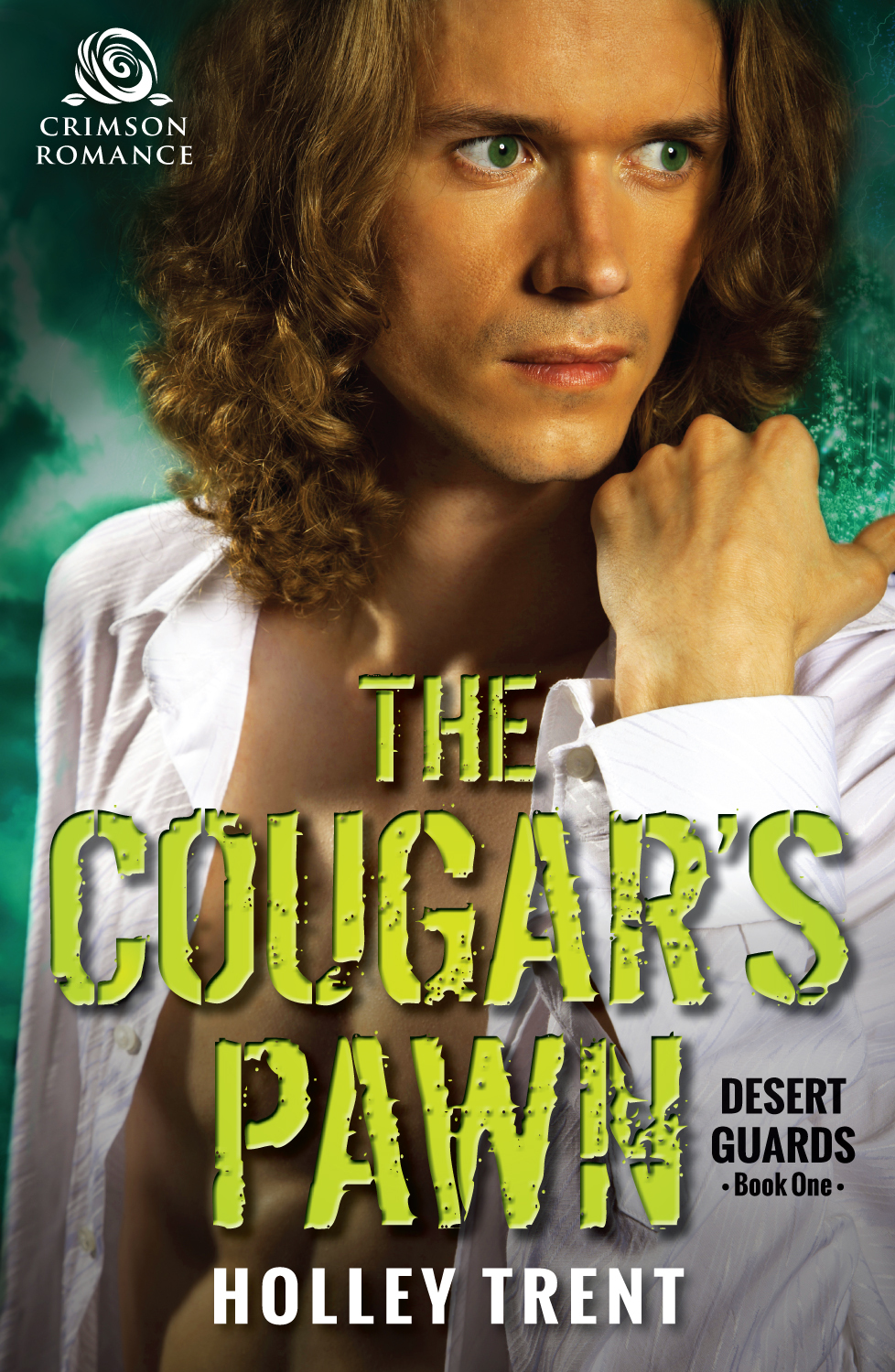 Desert Guards book cover 1