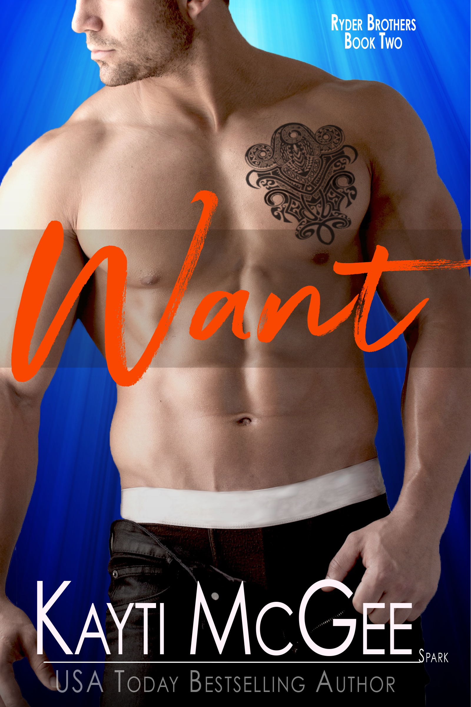 Ryder Brothers book cover 2