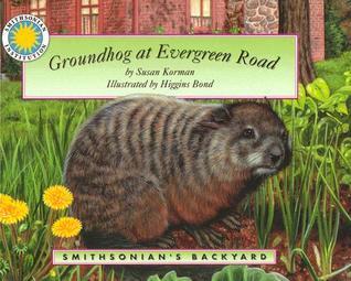 Groundhog at Evergreen Road - a Smithsonian's Backyard Book book cover