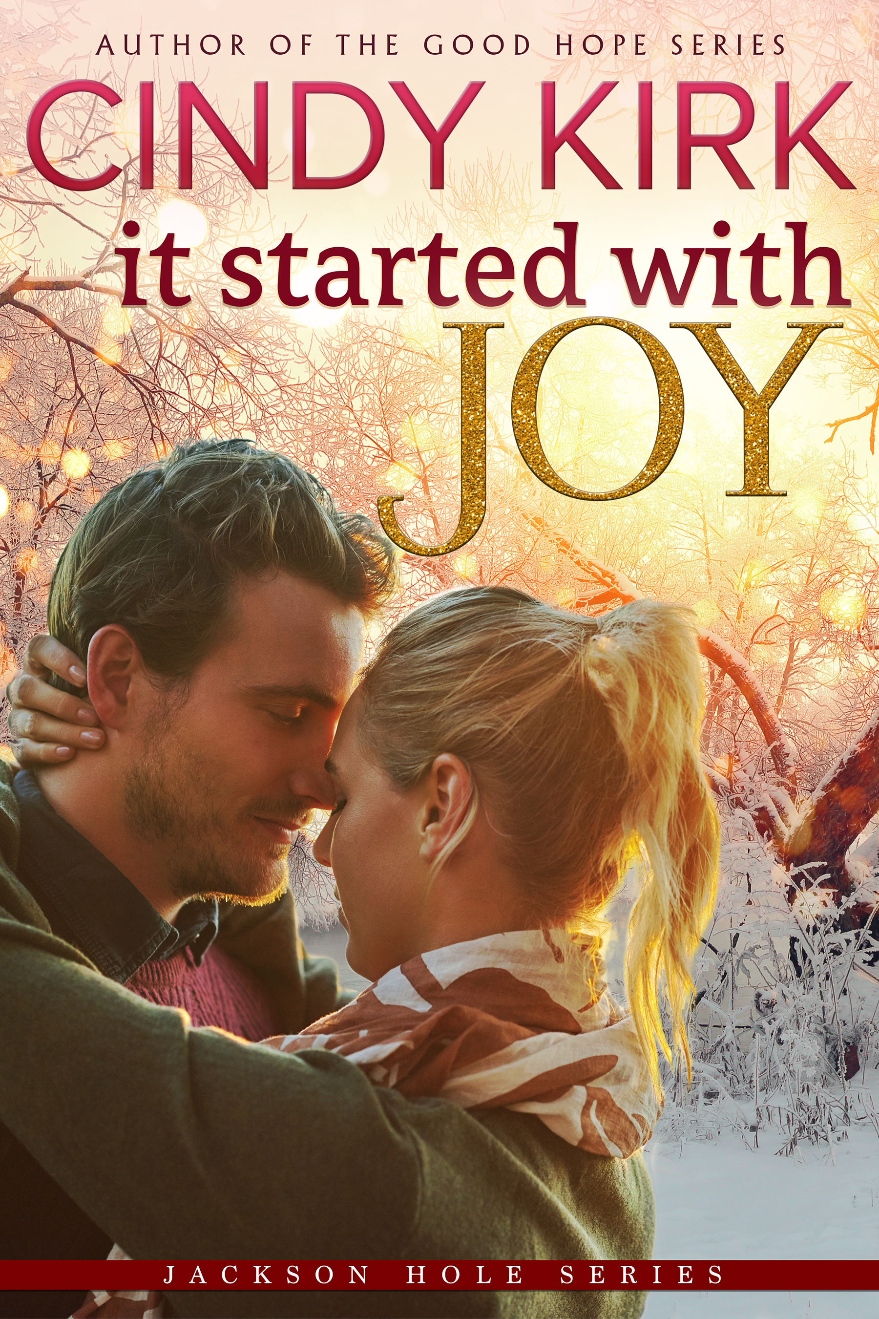 Jackson Hole book cover 1