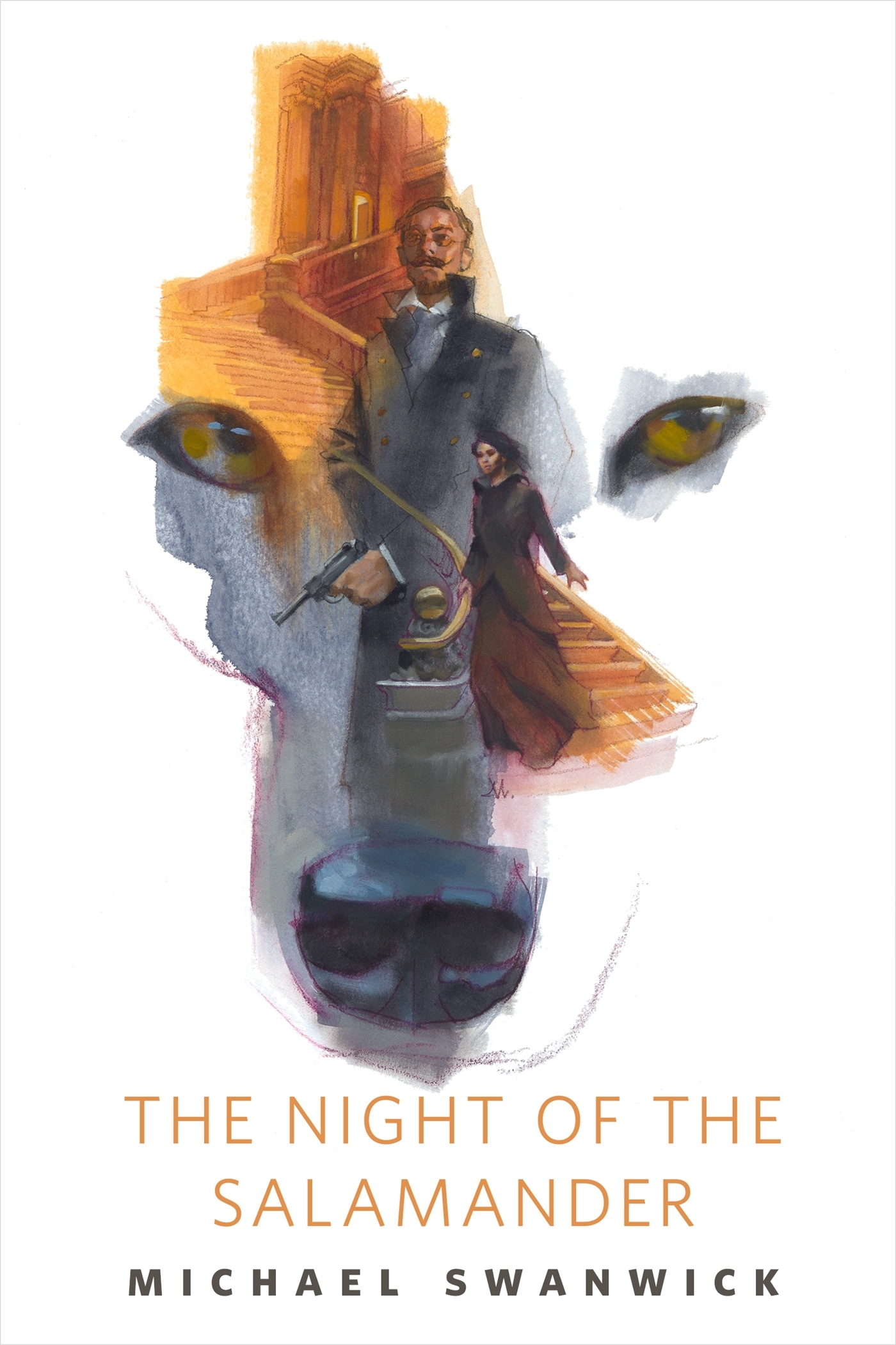The Night of the Salamander book cover