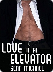 Love in an Elevator book cover