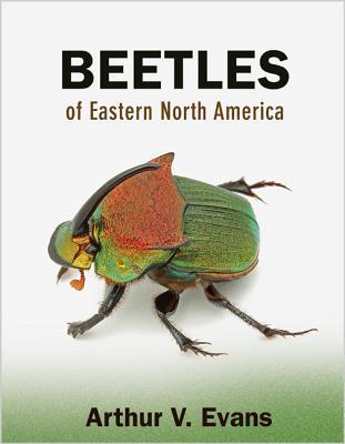 Beetles of Eastern North America book cover