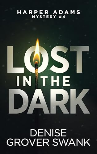 Lost in the Dark book cover